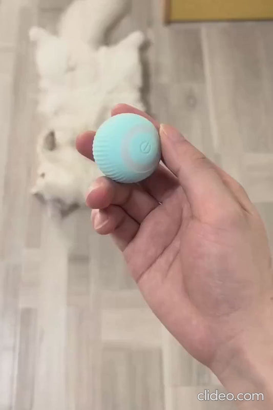 Pelota inteligente SmartPet Ball