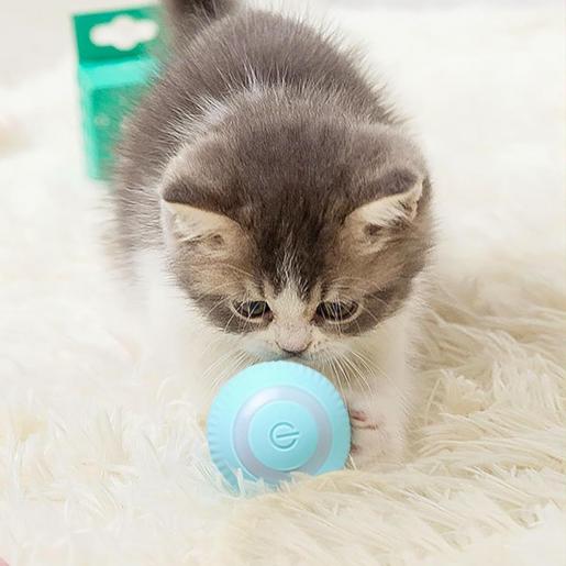 Pelota inteligente SmartPet Ball